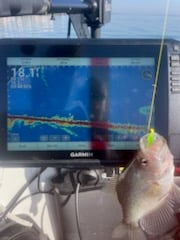 Fishing in Willis, Texas