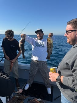 Fishing in Marina del Rey, California