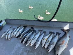 Fishing in St. Augustine, Florida