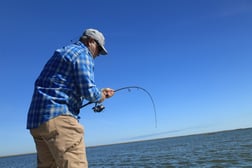 Fishing in Apalachicola, Florida