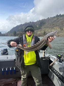 Fishing in Portland, Oregon