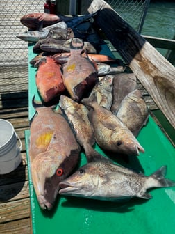 Fishing in Treasure Island, Florida