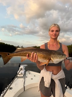 Fishing in Ruskin, Florida