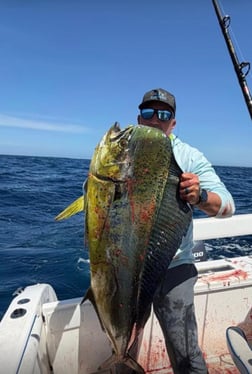 Fishing in Boynton Beach, Florida