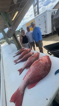Fishing in Gulf Shores, Alabama