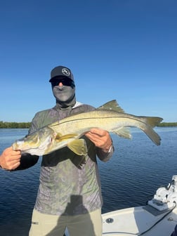 Fishing in Ruskin, Florida