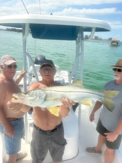 Fishing in Largo, Florida