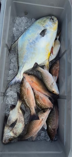 Fishing in Vero Beach, Florida