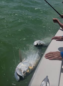 Fishing in Indian Rocks Beach, Florida