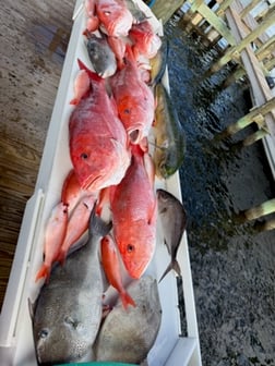 Fishing in Panama City, Florida