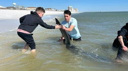 Fishing in Destin, Florida