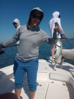 Fishing in Port Charlotte, Florida