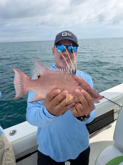 Fishing in Sarasota, Florida