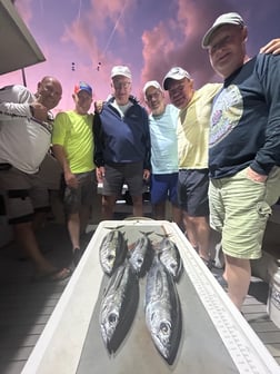 Blackfin Tuna, Mahi Mahi / Dorado Fishing in Pompano Beach, Florida