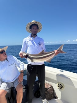 Fishing in Fort Pierce, Florida