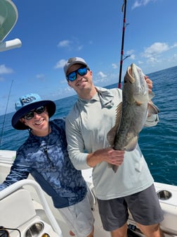 Fishing in Tampa, Florida