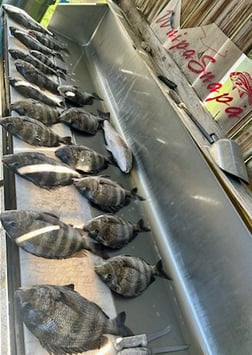 Fishing in D'Iberville, Mississippi