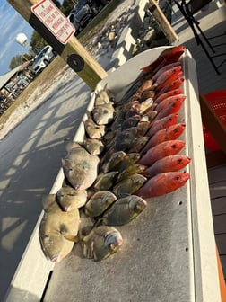 Fishing in Jacksonville, Florida