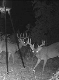 Hunting in Crestview, Florida