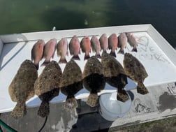 Fishing in Bradenton, Florida