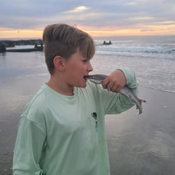 Speckled Trout / Spotted Seatrout fishing in Stone Harbor, New Jersey