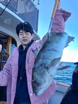 Fishing in Dana Point, California