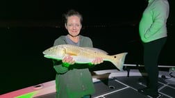 Fishing in Milton, Florida
