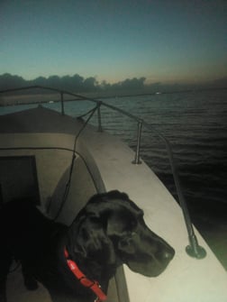 Fishing in Melbourne, Florida