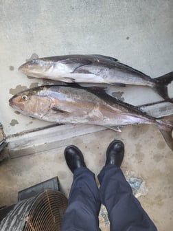 Fishing in Wrightsville Beach, North Carolina