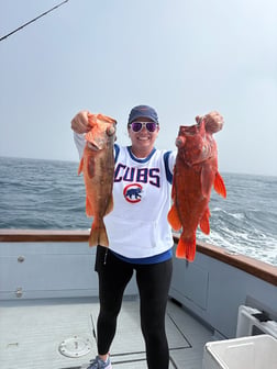 Fishing in San Diego, California