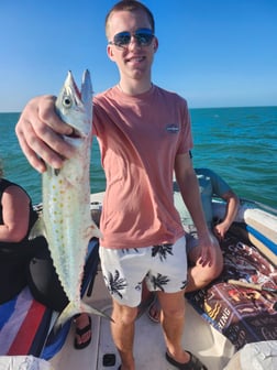 Fishing in Fort Myers Beach, Florida