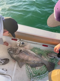 Fishing in Orange Beach, Alabama
