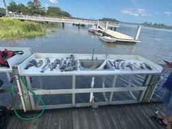Fishing in Darien, Georgia