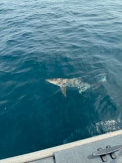 Fishing in Ventura, California