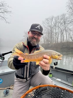 Fishing in Roswell, Georgia