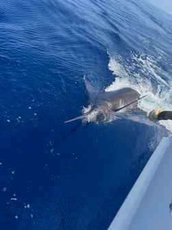 Fishing in Kaiminani, Hawaii