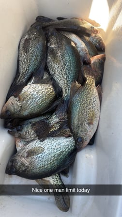 Fishing in Clewiston, Florida