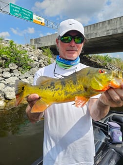 Fishing in Fort Lauderdale, Florida