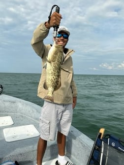 Fishing in Crystal River, Florida