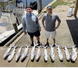 Fishing in Bon Secour, Alabama