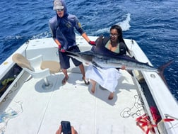 Fishing in Cabo San Lucas, Mexico