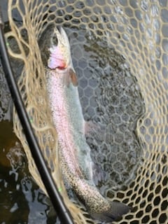 Fishing in Broken Bow, Oklahoma
