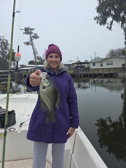 Fishing in Lake Panasoffkee, Florida