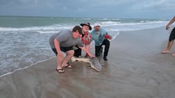 Fishing in New Smyrna Beach, Florida