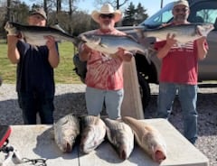 Fishing in Rogers, Arkansas