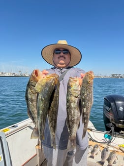 Fishing in Long Beach, California