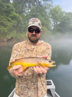 Fishing in Roswell, Georgia