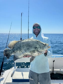 Fishing in Destin, Florida