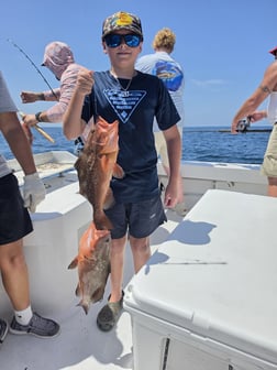Fishing in Orange Beach, Alabama