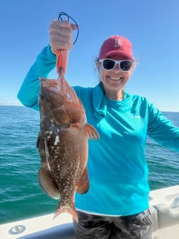 Fishing in Largo, Florida
